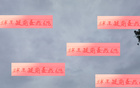 武磊傷退，海港備戰(zhàn)補(bǔ)賽。