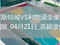 英超第33輪利物浦1-0萊斯特城