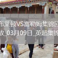 英超-若昂-佩德羅98分鐘點(diǎn)球絕殺布萊頓2-1富勒姆