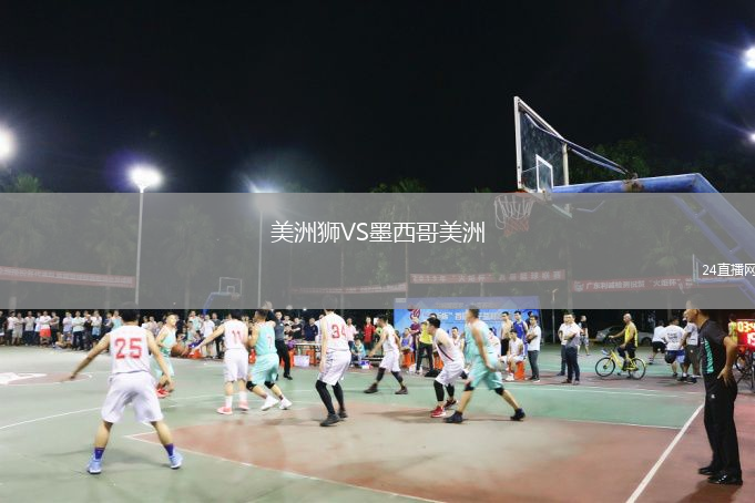 美洲獅VS墨西哥美洲