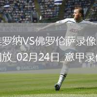 意甲第26輪維羅納1-0佛羅倫薩