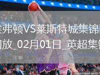 02月01日英超第24輪埃弗頓vs萊斯特城進(jìn)球