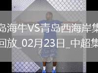 02月23日中超第1輪青島海牛vs青島西海岸進(jìn)球視頻