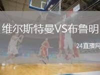 維爾斯特曼VS布魯明