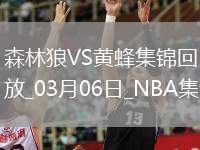 03月06日NBA常規(guī)賽 森林狼 - 黃蜂 精彩鏡頭