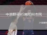 中浪野馬VS南陽州市民