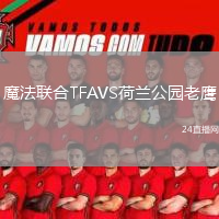 魔法聯(lián)合TFAVS荷蘭公園老鷹