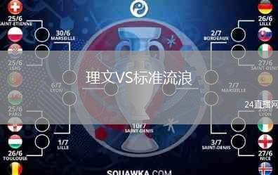 理文VS標(biāo)準(zhǔn)流浪