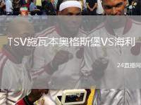 TSV施瓦本奧格斯堡VS海利