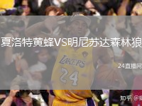 夏洛特黃蜂VS明尼蘇達森林狼