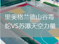 里奧格蘭德山谷毒蛇VS蘇瀑天空力量