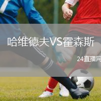 哈維德夫VS霍森斯