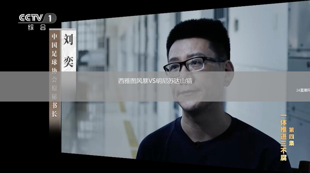 西雅圖風(fēng)暴VS明尼蘇達山貓