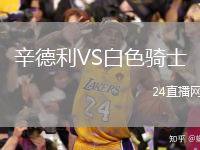 辛德利VS白色騎士