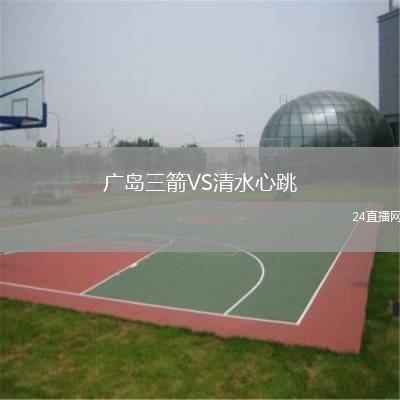 廣島三箭VS清水心跳