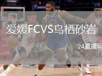 愛媛FCVS鳥棲砂巖