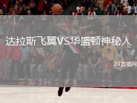 達拉斯飛翼VS華盛頓神秘人