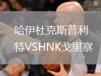 哈伊杜克斯普利特VSHNK戈里察