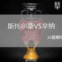 斯托爾桑VS辛納