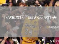 TSV施泰因巴赫VS瓦爾多夫