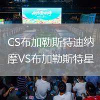 CS布加勒斯特迪納摩VS布加勒斯特星
