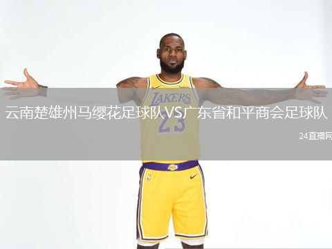 云南楚雄州馬纓花足球隊VS廣東省和平商會足球隊