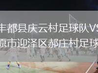重慶豐都縣慶云村足球隊(duì)VS山西太原市迎澤區(qū)郝莊村足球隊(duì)