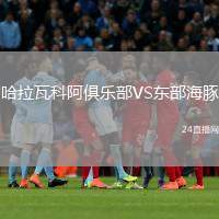 哈拉瓦科阿俱樂部VS東部海豚