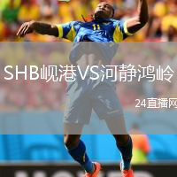 SHB峴港VS河靜鴻嶺