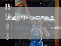 海登海姆VS沃爾夫斯堡