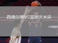 西德爾策VS涅波沃米采