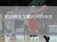 胡志明市飛翼VS河內(nèi)水牛