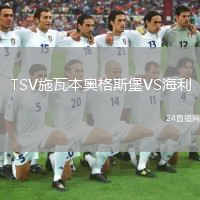 TSV施瓦本奧格斯堡VS海利