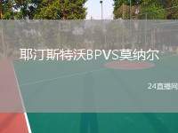 耶汀斯特沃BPVS莫納爾