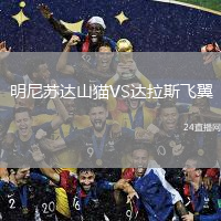 明尼蘇達山貓VS達拉斯飛翼