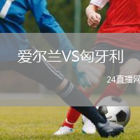 愛爾蘭VS匈牙利