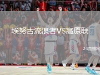 埃努古流浪者VS高原聯(lián)