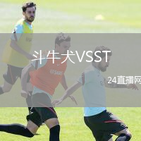 斗牛犬VSST