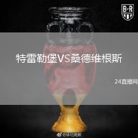 特雷勒堡VS桑德維根斯