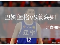 巴姆堡格VS蒙海姆