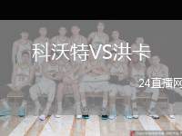 科沃特VS洪卡