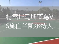 特雷托馬斯藍(lán)鳥VS施白蘭凱爾特人