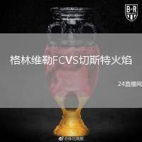 格林維勒FCVS切斯特火焰