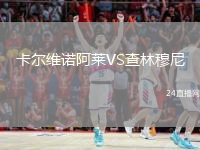 卡爾維諾阿萊VS查林穆尼