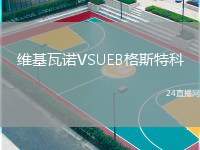 維基瓦諾VSUEB格斯特科