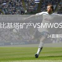 比基塔礦產(chǎn)VSMWOS