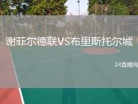 謝菲爾德聯(lián)VS布里斯托爾城