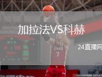 加拉法VS科赫