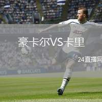 豪卡爾VS卡里