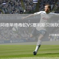 阿德萊德毒蛇VS塞利斯貝瑞聯(lián)